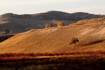 IMG_0570.JPG