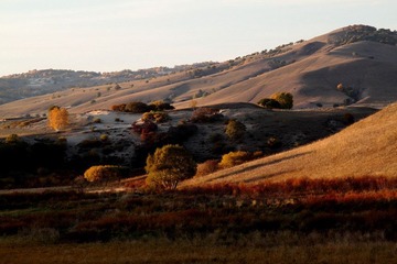 IMG_0571.JPG