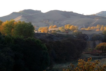 IMG_0572.JPG