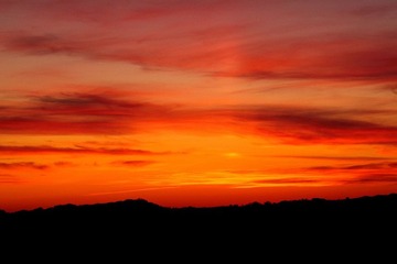 IMG_0585.JPG