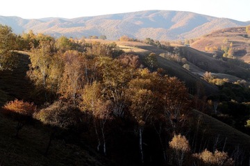 IMG_0609.JPG