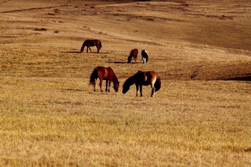 IMG_0536.JPG