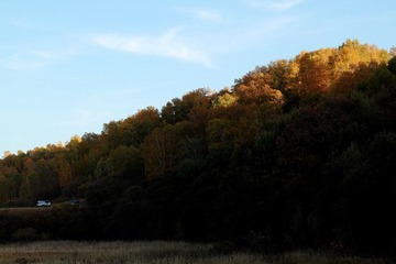 IMG_0561.JPG