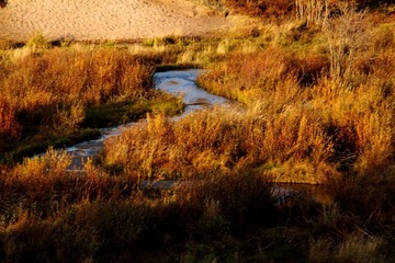 IMG_0563.JPG