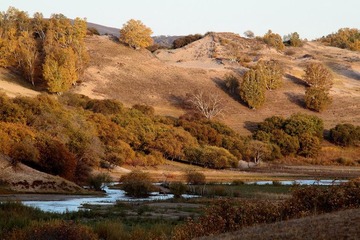 IMG_0565.JPG