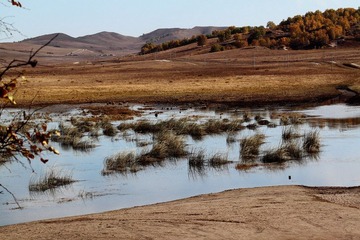 IMG_0501.JPG