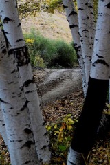IMG_0511.JPG