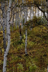 IMG_0513.JPG