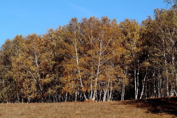 IMG_0526.JPG