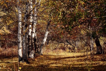 IMG_0527.JPG