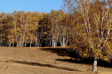 IMG_0530.JPG