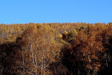 IMG_0531.JPG