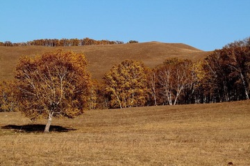 IMG_0532.JPG