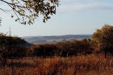 IMG_0467.JPG