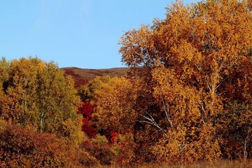 IMG_0473.JPG