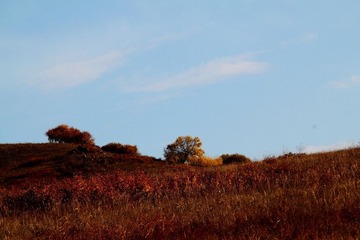IMG_0477.JPG