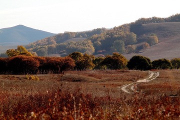 IMG_0479.JPG
