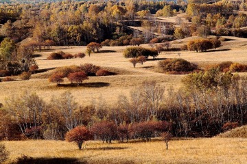 IMG_0484.JPG