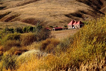 IMG_0239.JPG