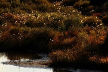 IMG_0292.JPG