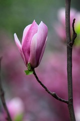 IMG_0899.JPG