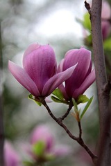IMG_0901.JPG