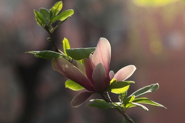 IMG_0883.JPG