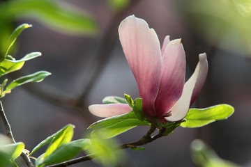 IMG_0885.JPG