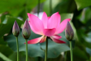 IMG_1571.JPG