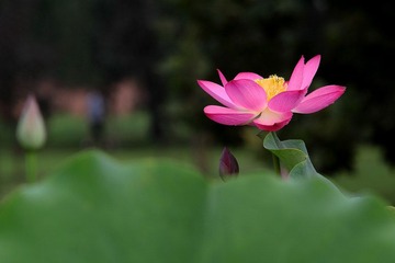 IMG_1572.JPG