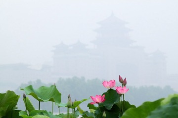 IMG_1682.JPG