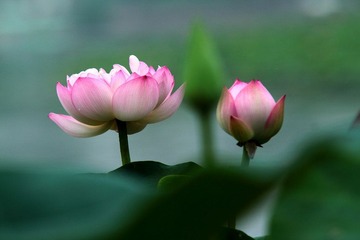 IMG_1738.JPG