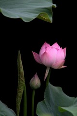IMG_1748.JPG