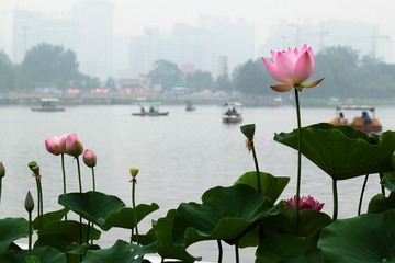 IMG_1769.JPG
