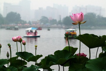 IMG_1771.JPG