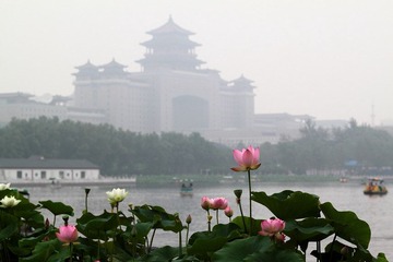 IMG_1772.JPG