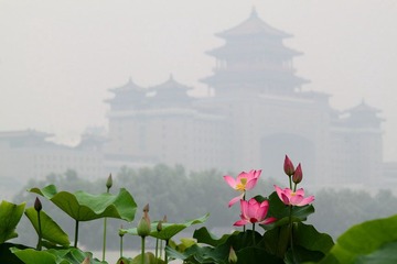 IMG_1782.JPG