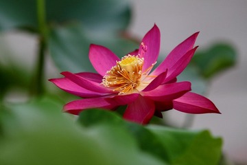 IMG_1836.JPG