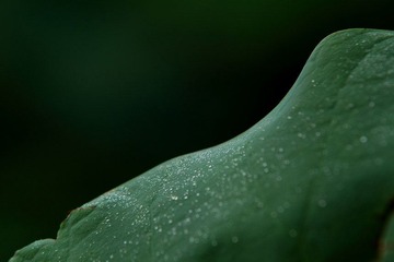 IMG_1840.JPG