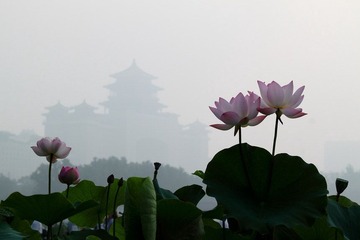IMG_1844.JPG