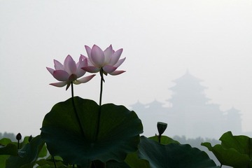 IMG_1842.JPG