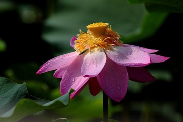 IMG_1804.JPG