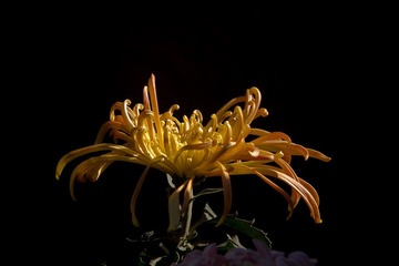 IMG_3522.jpg