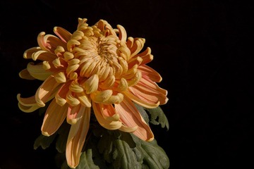 IMG_3581.jpg
