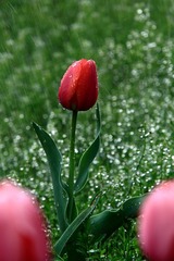 IMG_4120.JPG