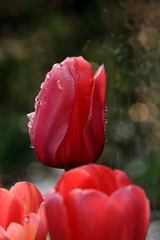 IMG_4124.JPG