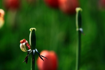 IMG_4128.JPG