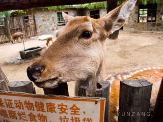 DSCF3735.jpg