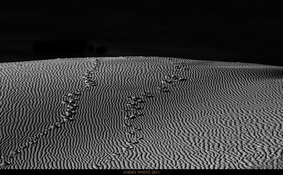 世上，本没有路<br />
