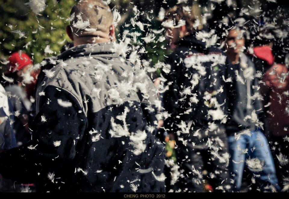 NYCPillowFightc2<br />